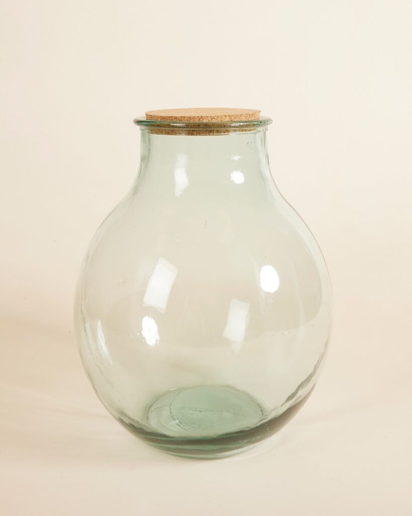 Olly Terrarium Groot