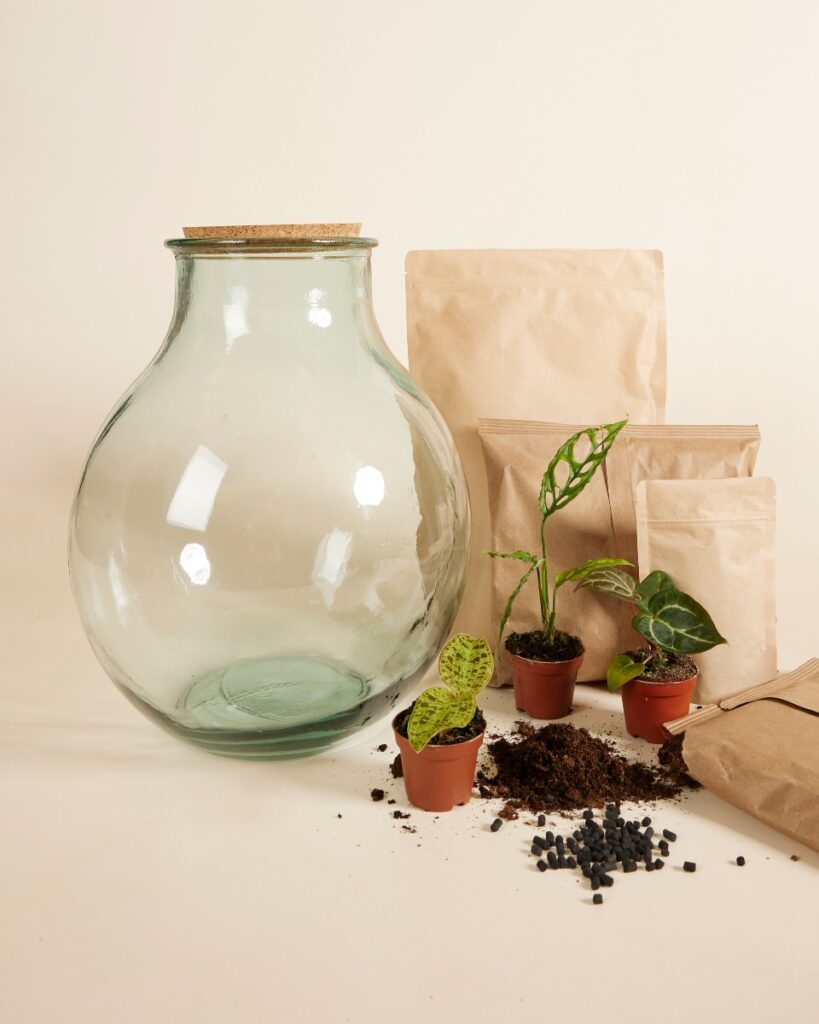 Olly Terrarium Large Expert Kit