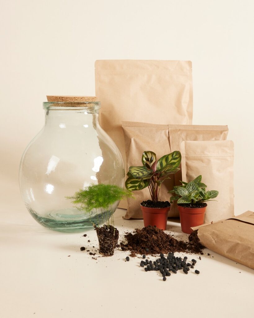 Olly Terrarium Medium Starter Kit