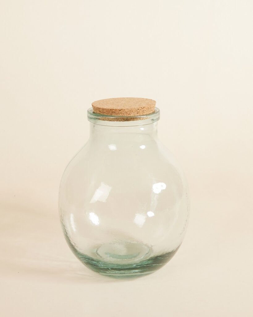 Olly Terrarium Middelgroot