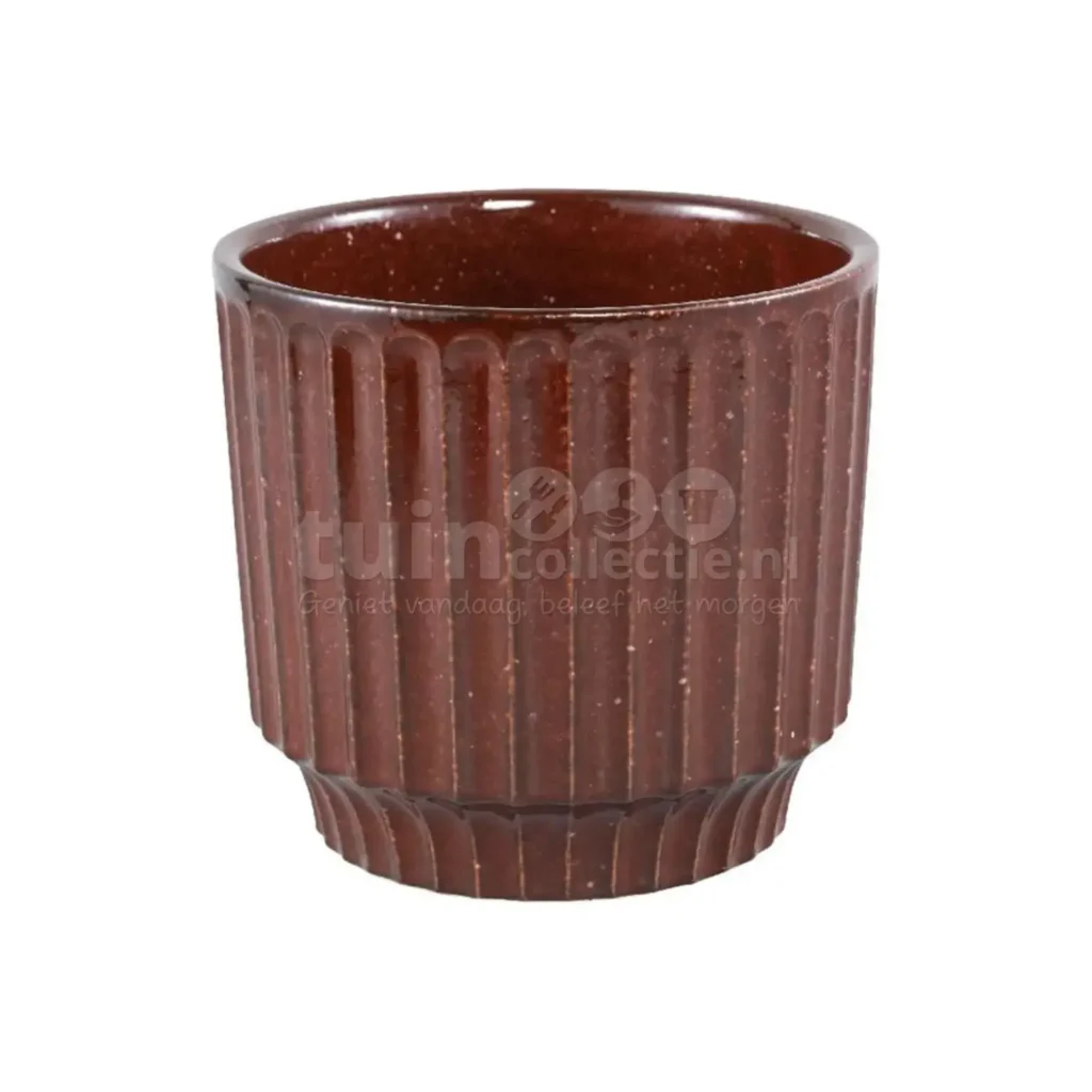 PTMD Bloempot Hodor Bordeaux Ø12,5cm