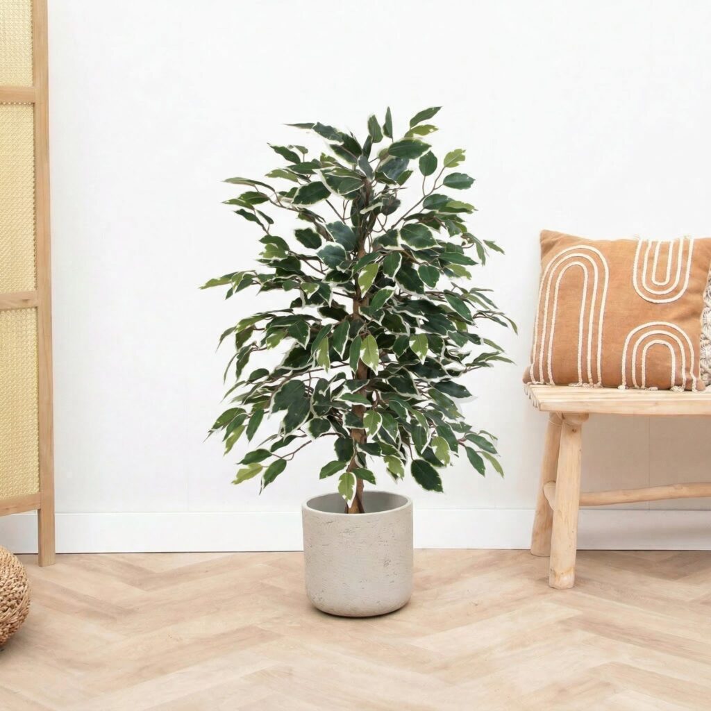 Kunst Ficus benjamina variegata - 85cm