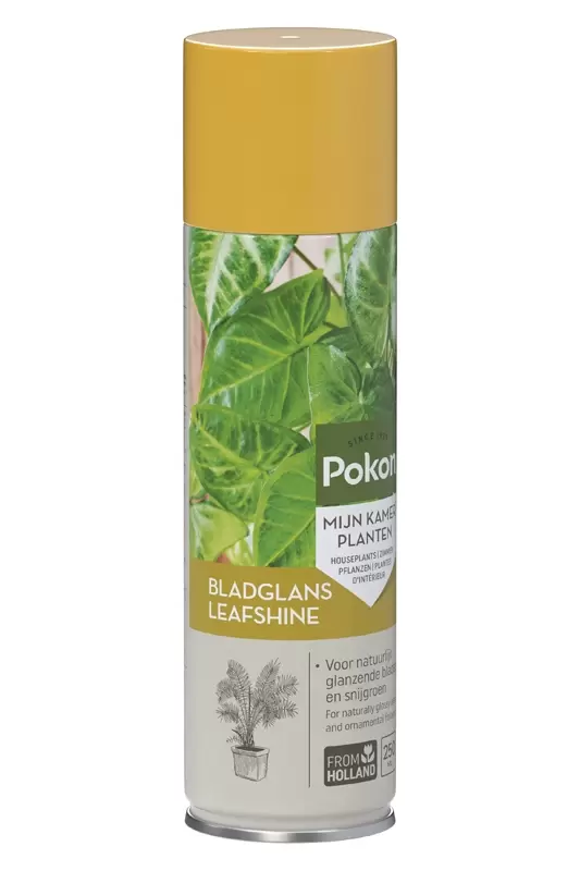 Pokon Bladglans Kamerplant 250ml