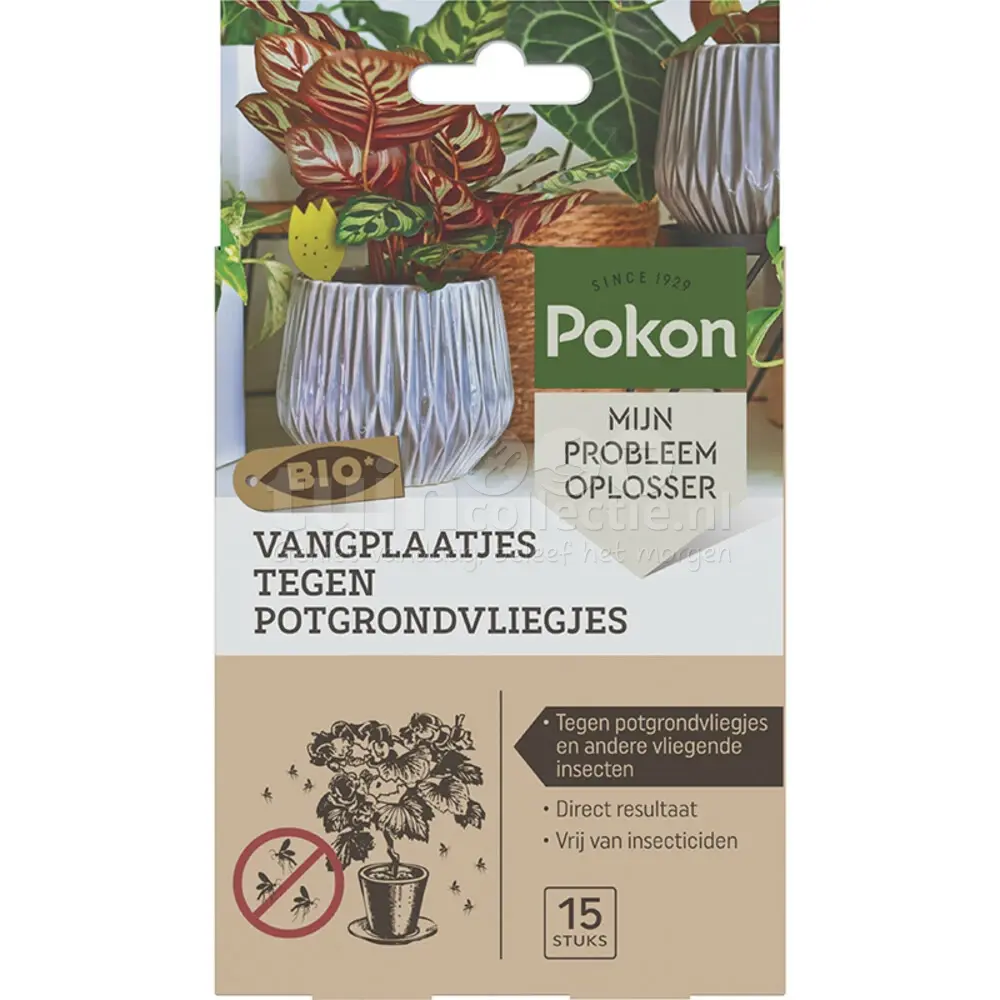 Pokon Vangplaatjes Tegen Potgrondvliegjes Bio
