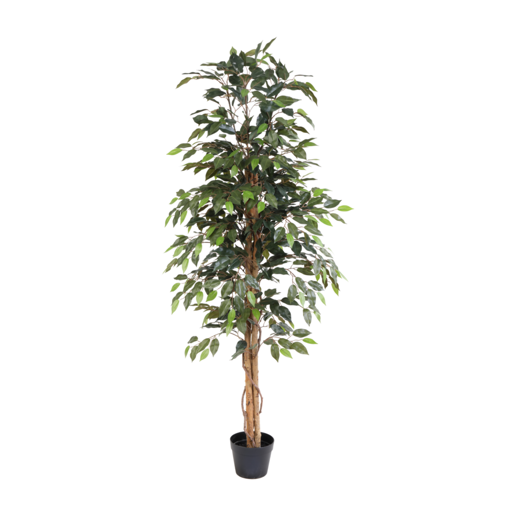 Kunstplant Ficus Benjamina | 160cm