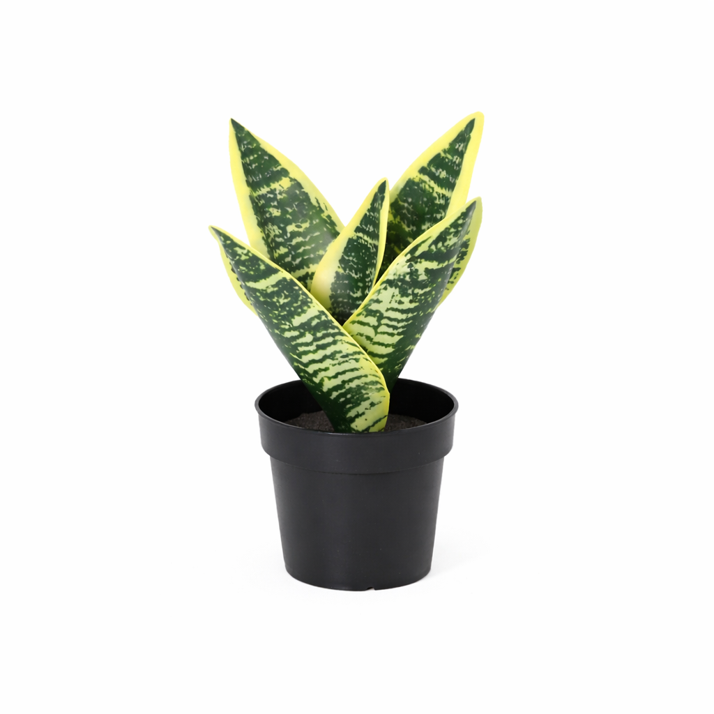 Kunstplant Sansevieria | 21cm