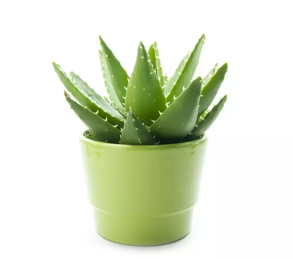 Pot 30cm groen test